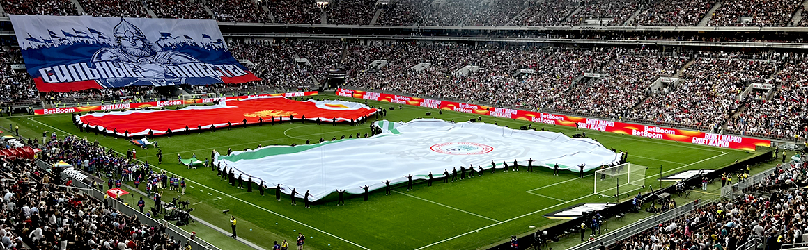 Предоставление в аренду двух линий cветодиодного спортивного периметра и обеспечение их работы, техническая поддержка во время проведения Товарищеского матча между сборными России и Нигерии на БСА «Лужники»